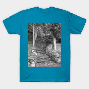 Stairs B T-Shirt